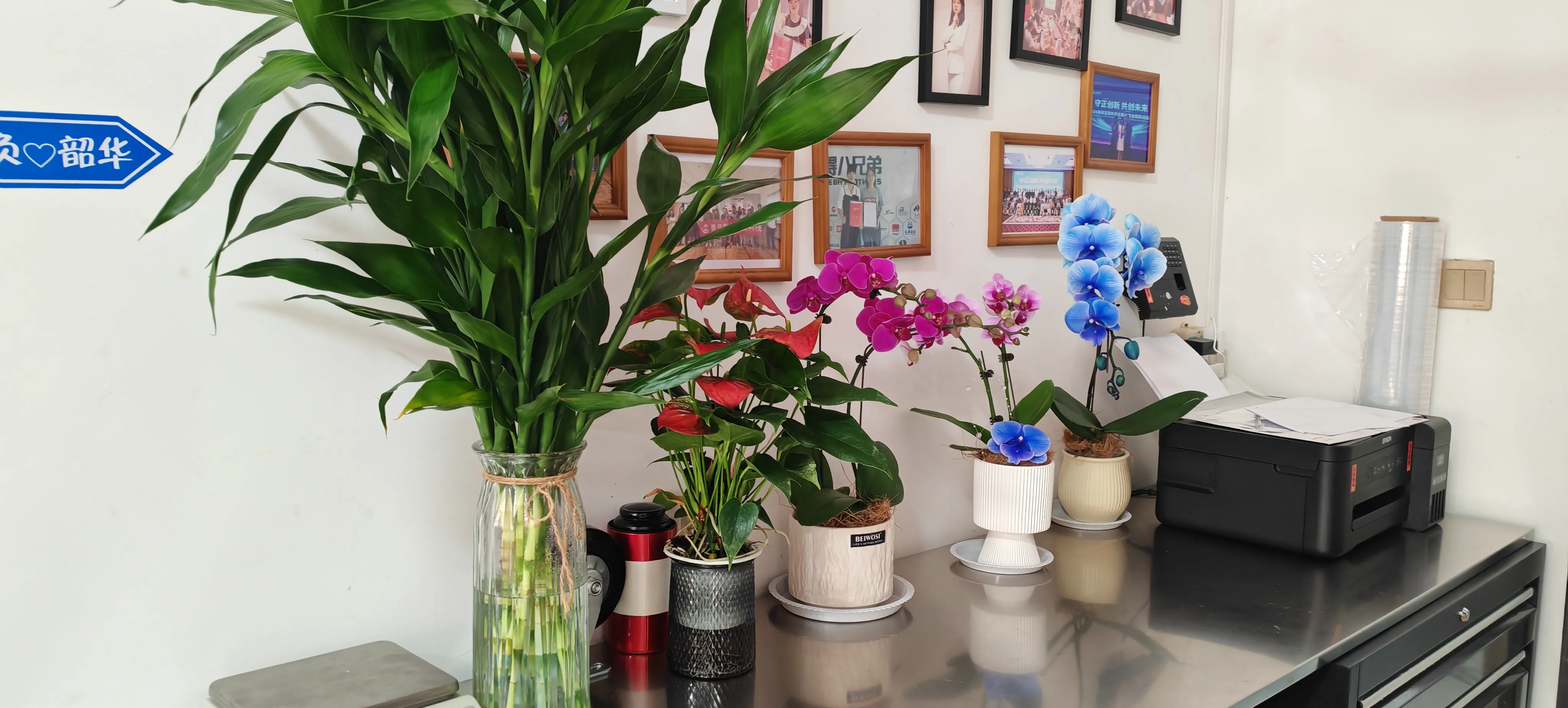 Selamat datang teman baru JOJO Pack!