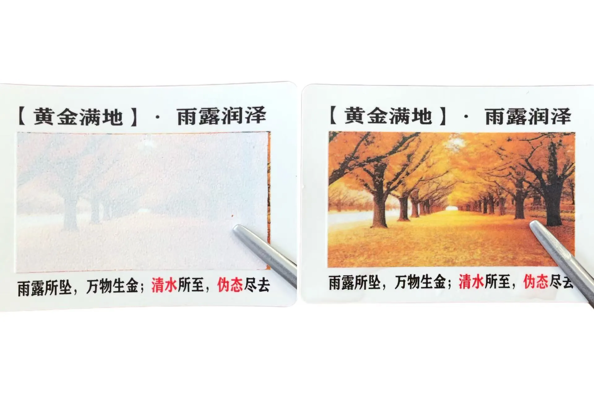 Tahukah Anda label sensitif terhadap air yang dapat berubah warna?