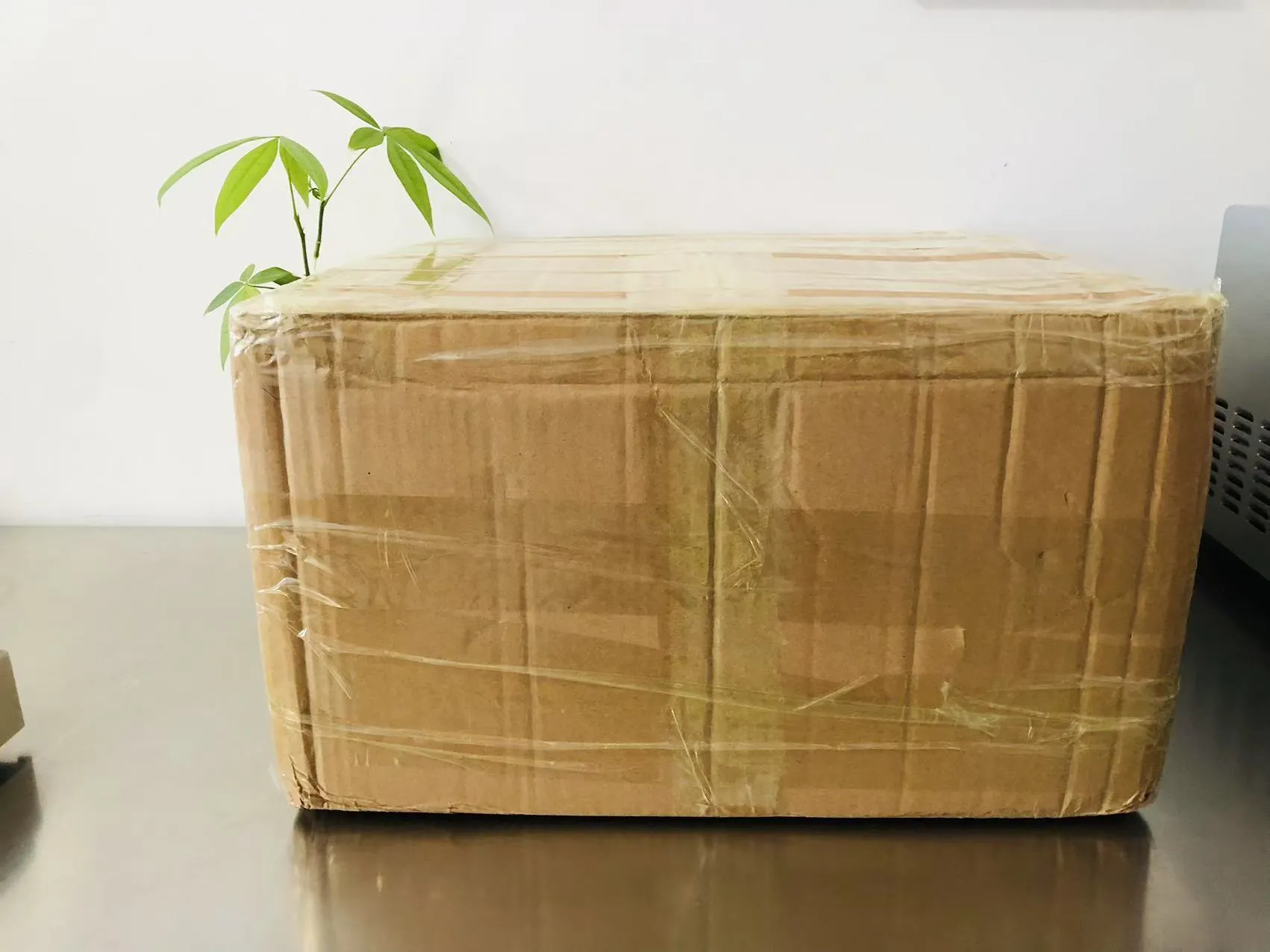 Stiker Kartun Epoxy Padat Sekarang Sedang Dalam Perjalanan ke Jepang